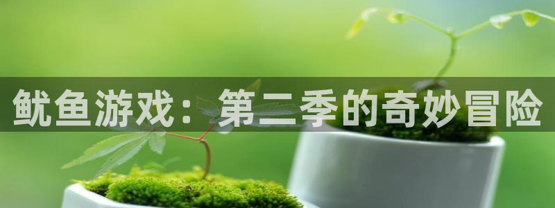 杏悦2 -首选推荐平台