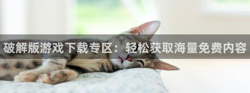 杏悦2手机客户端下载