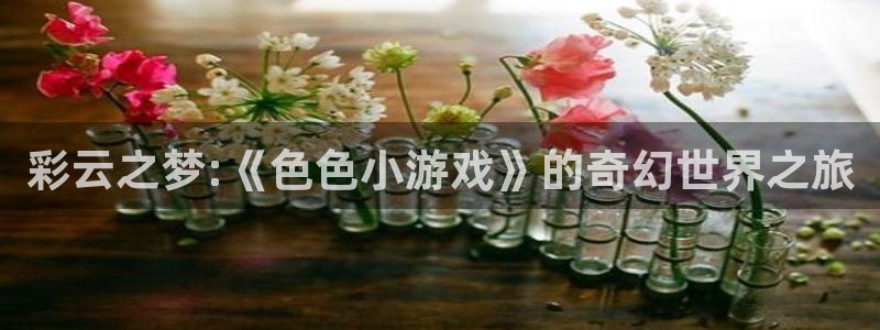 杏悦2平台报名时间