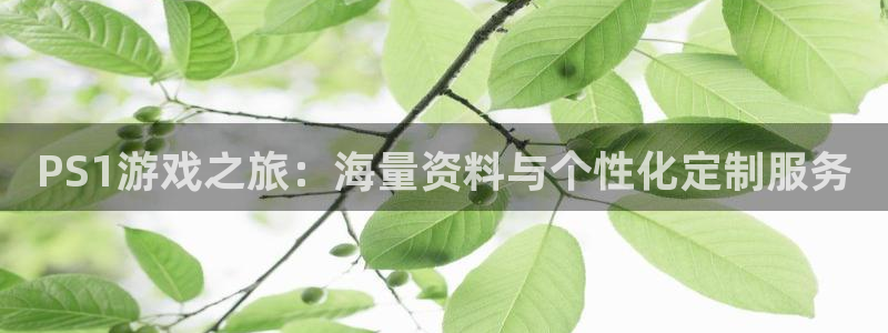杏悦2体育官网：PS1游戏之旅：海量资料与个性化定制服务