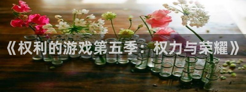 杏悦2平台报名时间：《权利的游戏第五季：权力与荣耀》
