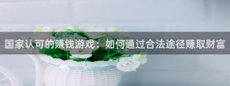 杏悦2老版本更新内容：国家认可的赚钱游戏：如何通过合法途径赚