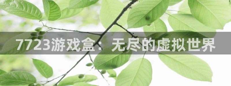 杏悦2平台登录：7723游戏盒：无尽的虚拟世界