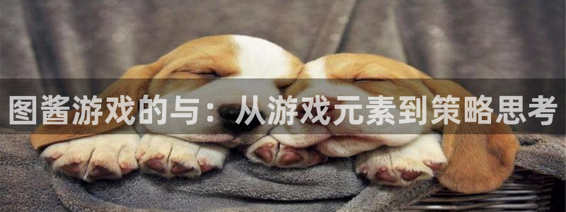 杏悦2官网登录入口