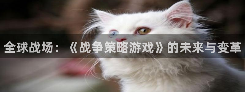 杏悦2登录：全球战场：《战争策略游戏》的未来与变革