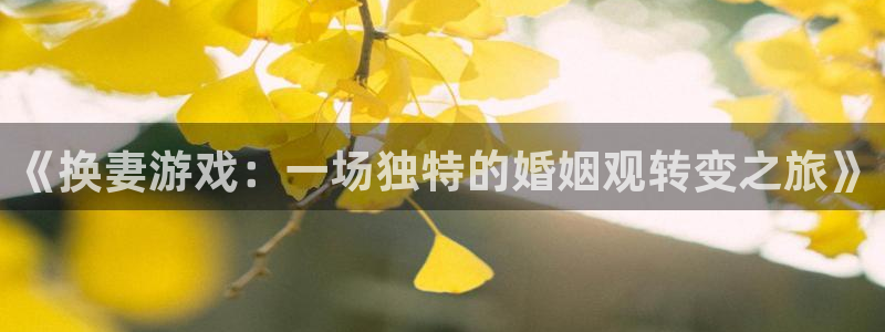 杏悦2平台登录方式：《换妻游戏：一场独特的婚姻观转变之旅》