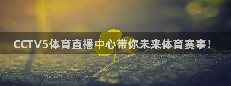 绿茵体育频道在线直播：CCTV5体育直播中心带你未来体育赛事！