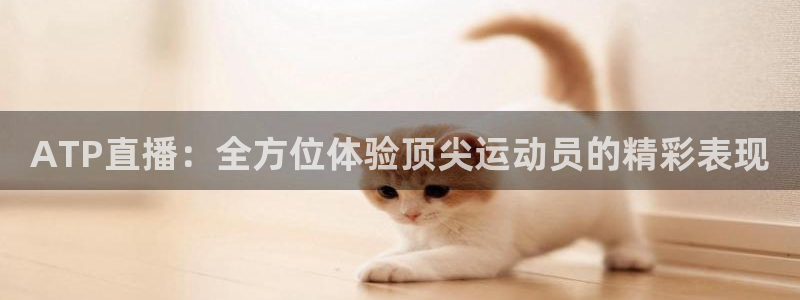 绿茵直播nba：ATP直播：全方位体验顶尖运动员的精彩表现