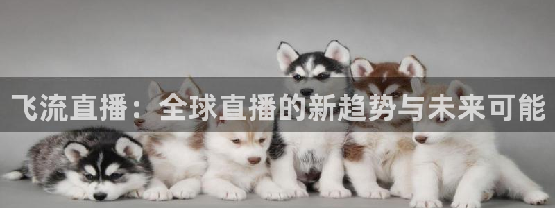 绿茵nba直播：飞流直播：全球直播的新趋势与未来可能