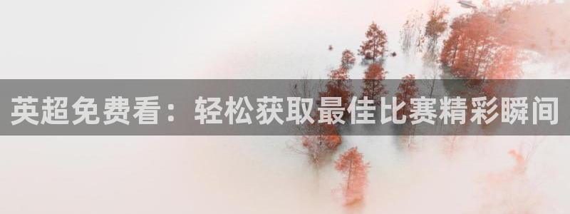 绿茵体育live直播：英超免费看：轻松获取最佳比赛精彩瞬间