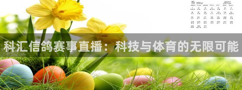 绿茵直播在线观看：科汇信鸽赛事直播：科技与体育的无限可能