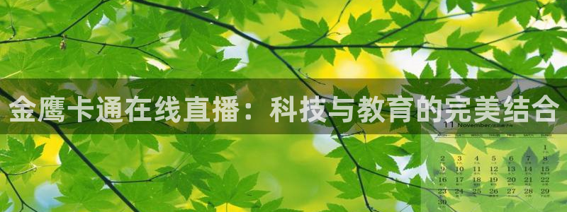 绿茵体育直播平台：金鹰卡通在线直播：科技与教育的完美结合