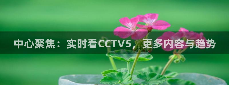 绿茵直播免费看球直播：中心聚焦：实时看CCTV5，更多内容与趋势