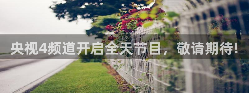 绿茵直播cba：央视4频道开启全天节目，敬请期待!