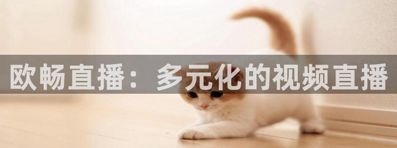 绿茵直播体育在线观看免费高清：欧畅直播：多元化的视频直播