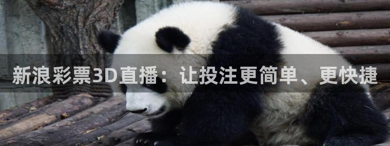 足球]绿茵魔术师：新浪彩票3D直播：让投注更简单、更快捷