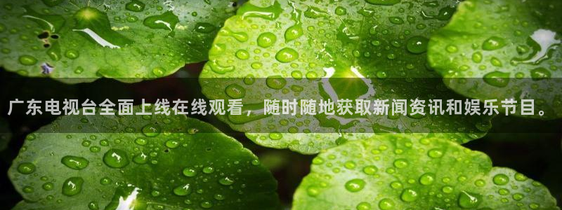 足球之绿茵球王：广东电视台全面上线在线观看，随时随地获取新闻资讯和娱乐节目。