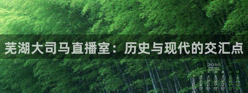 绿茵直播体育免费直播：芜湖大司马直播室：历史与现代的交汇点